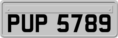 PUP5789
