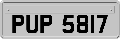 PUP5817