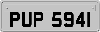 PUP5941