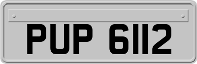 PUP6112