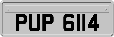 PUP6114