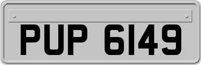 PUP6149