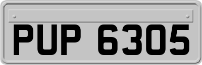 PUP6305