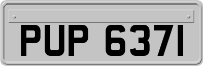 PUP6371