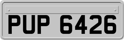 PUP6426