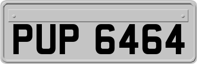 PUP6464