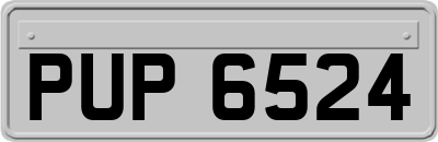 PUP6524