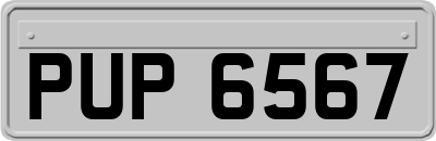PUP6567