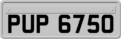 PUP6750