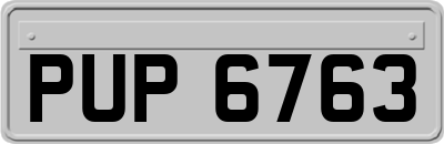 PUP6763