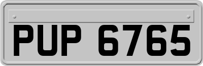 PUP6765