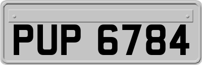 PUP6784