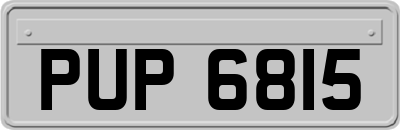 PUP6815