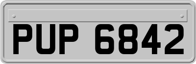 PUP6842