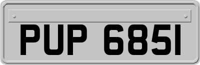 PUP6851