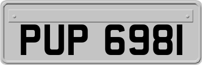 PUP6981