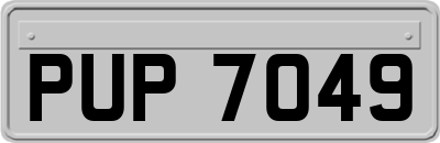PUP7049