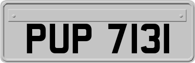 PUP7131