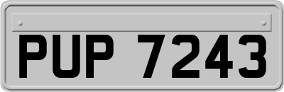 PUP7243