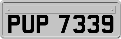 PUP7339