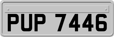 PUP7446