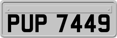 PUP7449