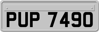 PUP7490