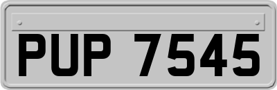 PUP7545