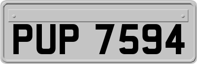PUP7594