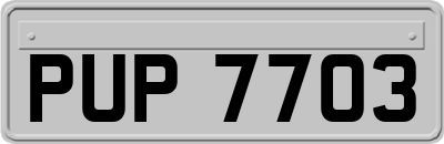 PUP7703