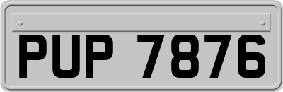 PUP7876