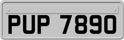 PUP7890