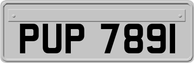 PUP7891