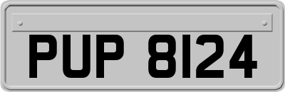 PUP8124