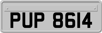 PUP8614