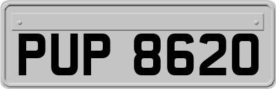 PUP8620