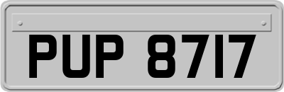 PUP8717