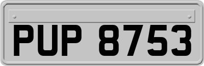 PUP8753