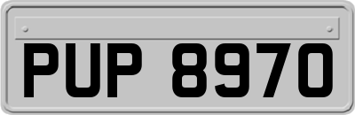 PUP8970