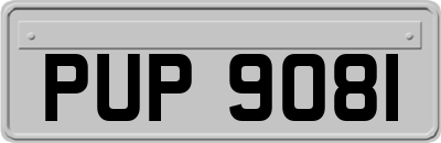 PUP9081