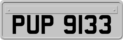 PUP9133