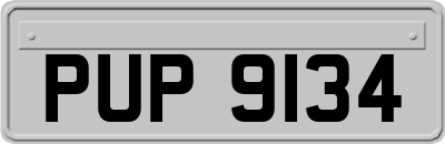 PUP9134