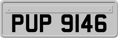 PUP9146