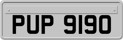 PUP9190