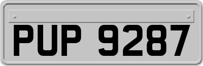 PUP9287