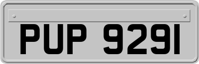 PUP9291