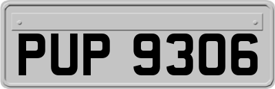 PUP9306
