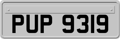 PUP9319
