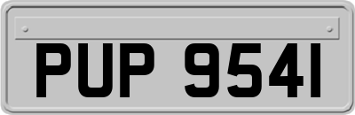 PUP9541