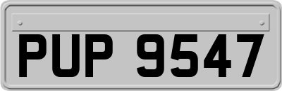PUP9547